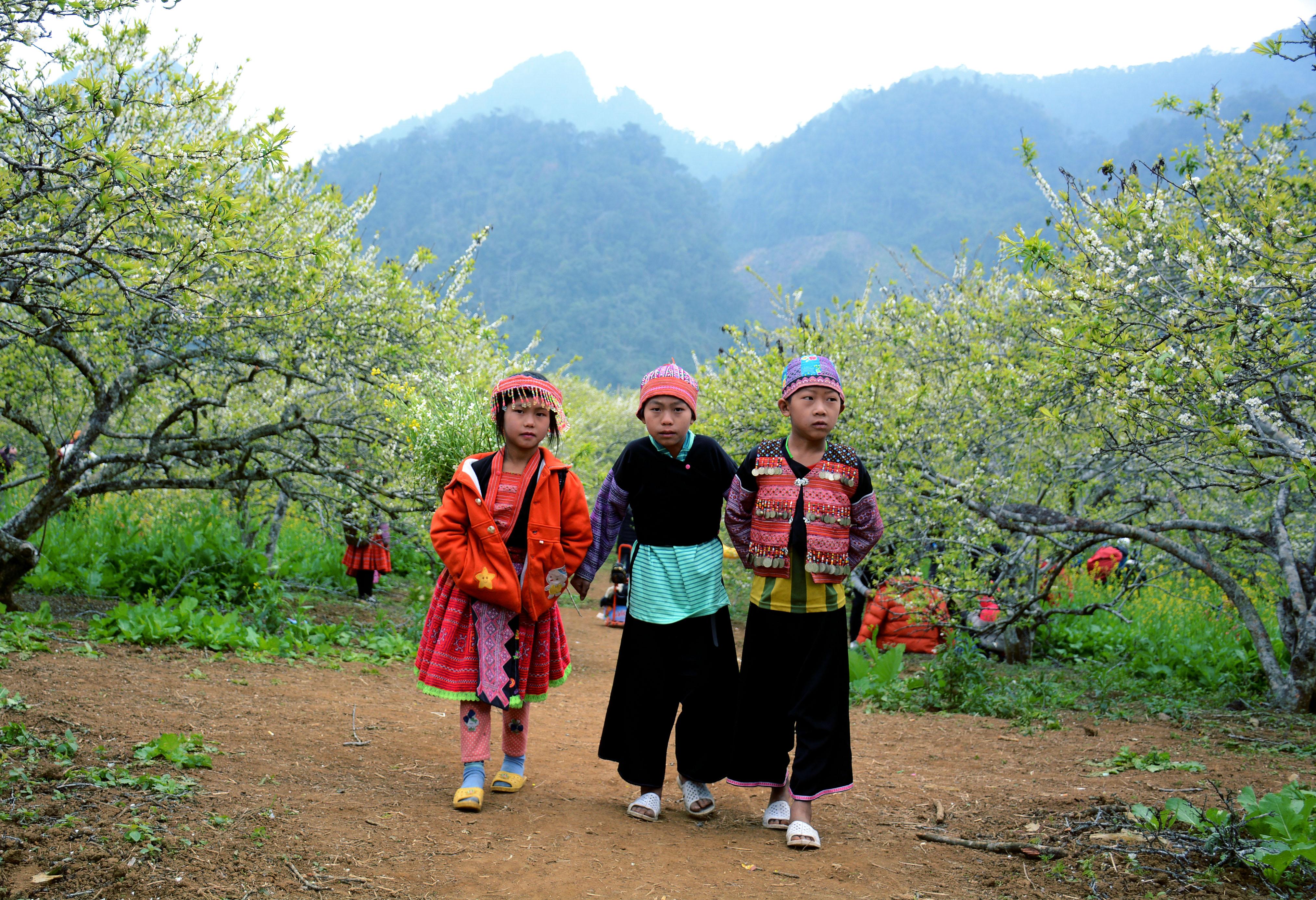 Sắc xuân trên thung lũng mận Nà Ka